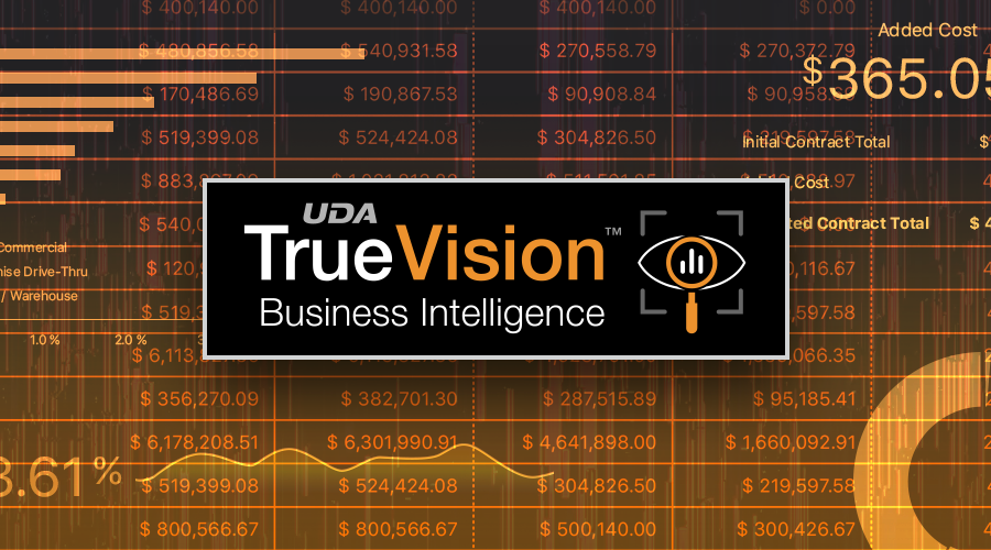 01_truevision_business_intelligence_900x500